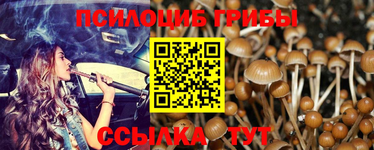 Галлюциногенные грибы Psilocybine cubensis Славянск-на-Кубани