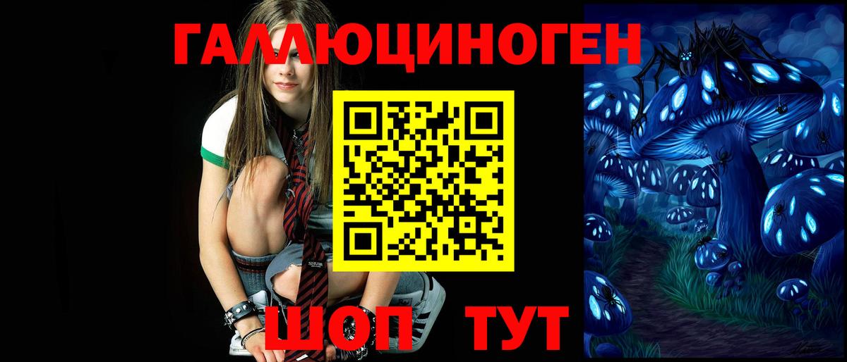 Славянск-на-Кубани  Галлюциногенные грибы прущие грибы  Вход с VPN 